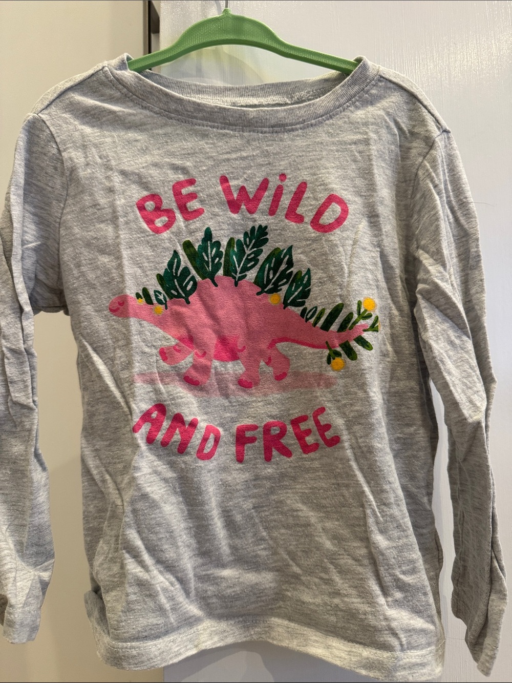 Old Navy Gray Long Sleeve Tee with Pink Dino and Green Leaf Graphic